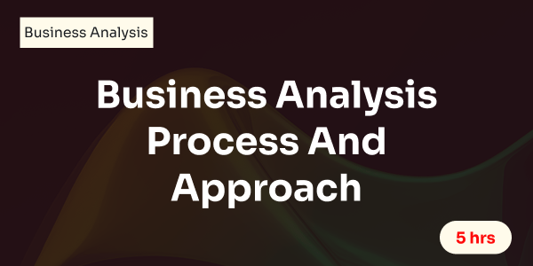 Business Analysis Process And Approach
