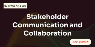 Stakeholder Communication and Collaboration