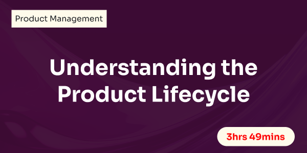 Understanding the Product Lifecycle